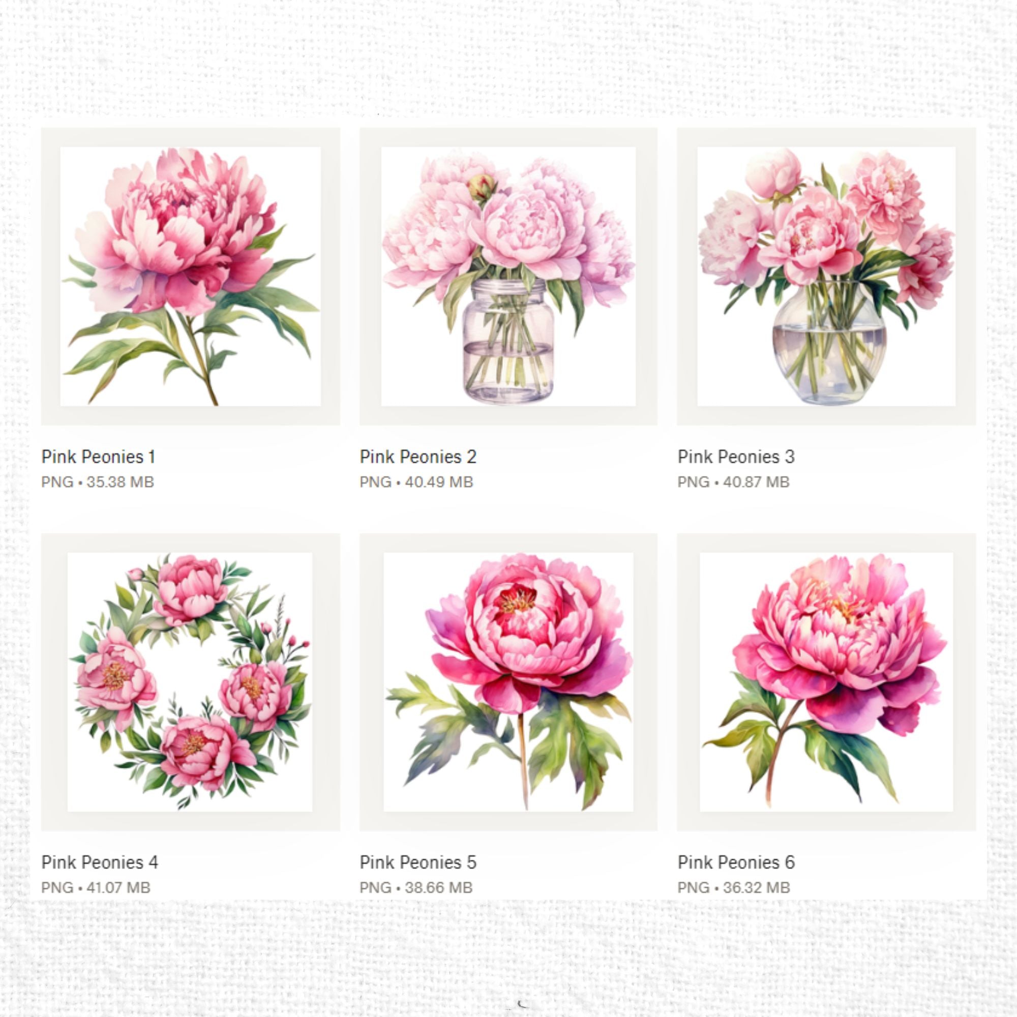 Pink Peony Clipart Sublimation Bundle