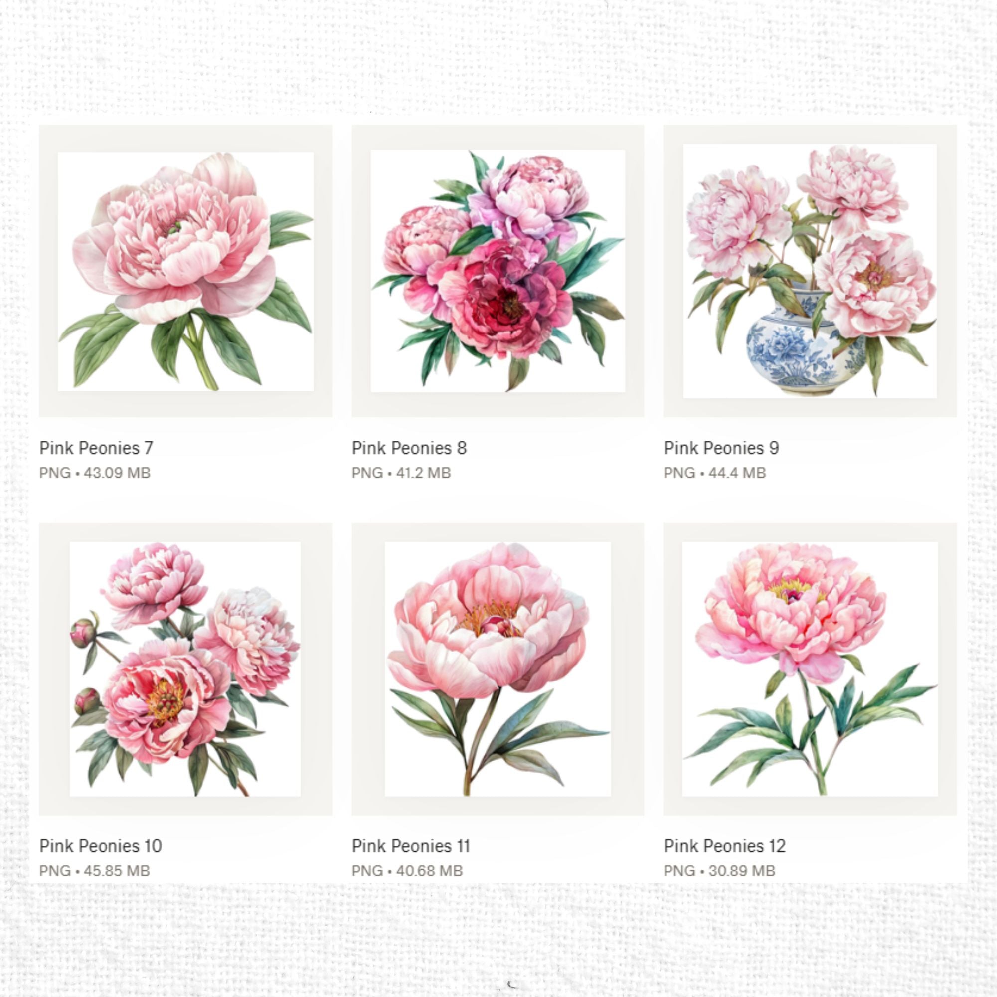 Pink Peony Clipart Sublimation Bundle