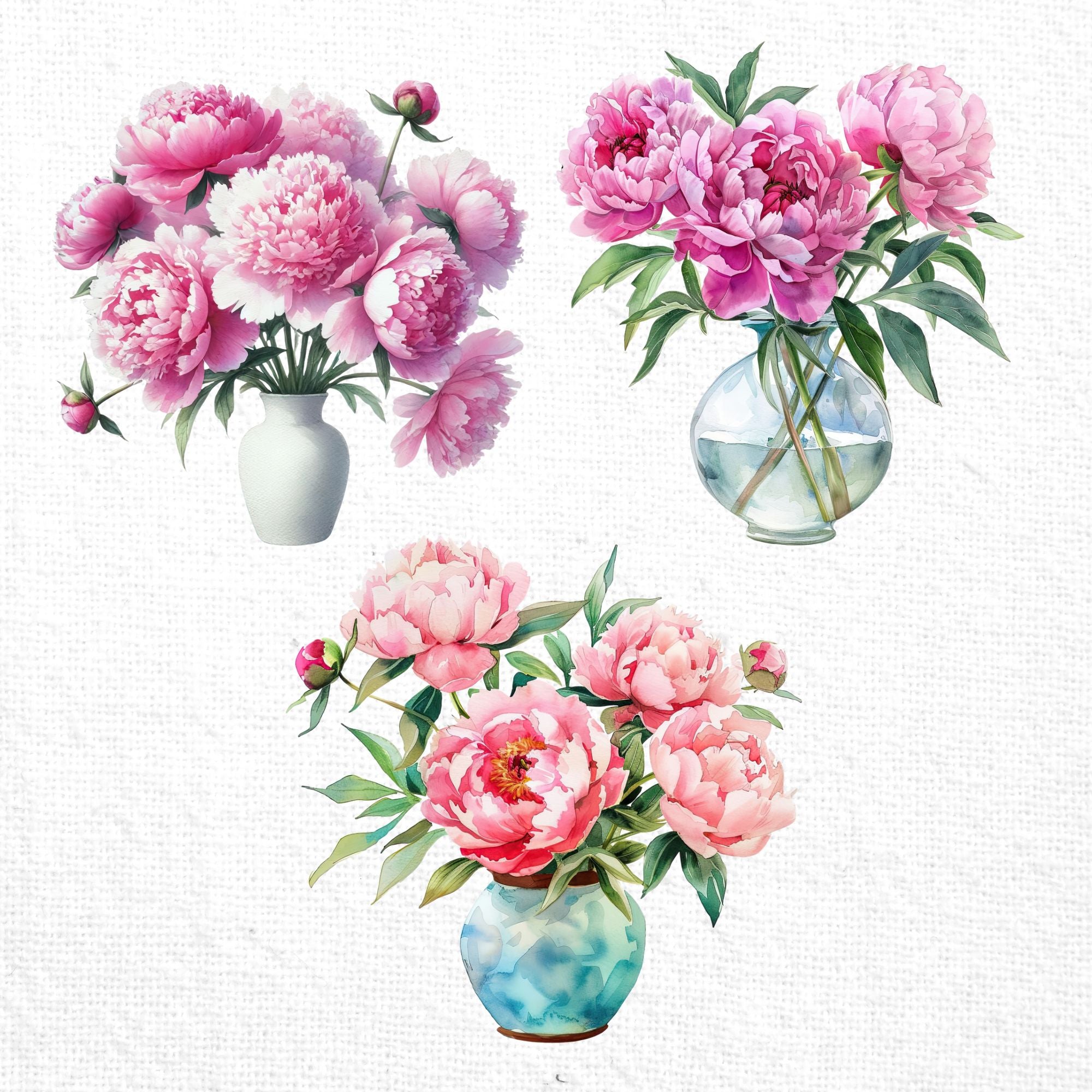 Pink Peony Clipart Sublimation Bundle