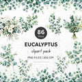 Eucalyptus Clipart Sublimation Bundle PNG