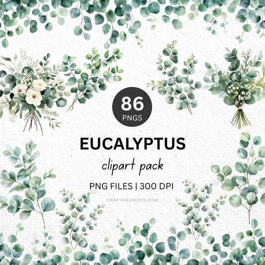 Eucalyptus Clipart Sublimation Bundle PNG