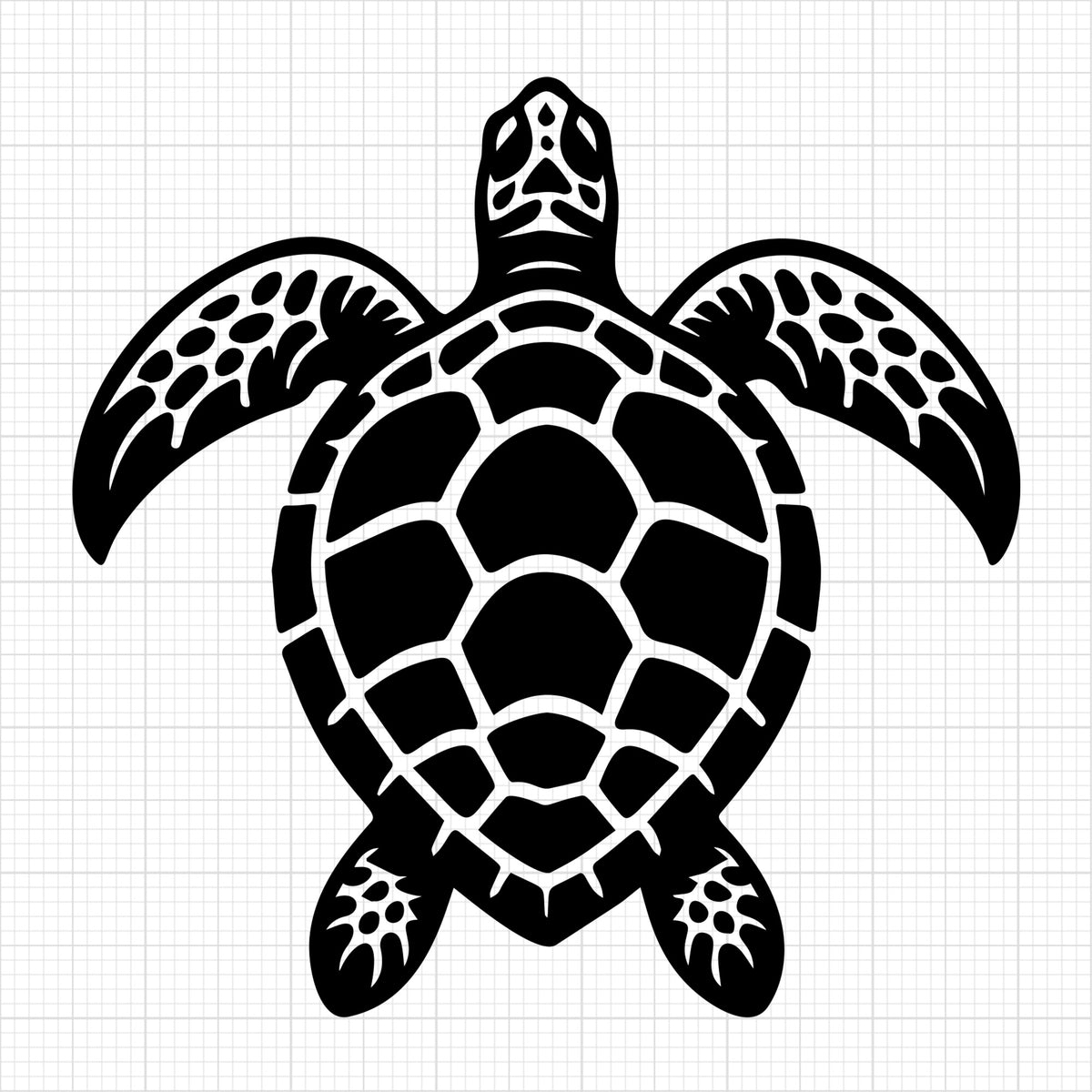 Sea Turtle 12