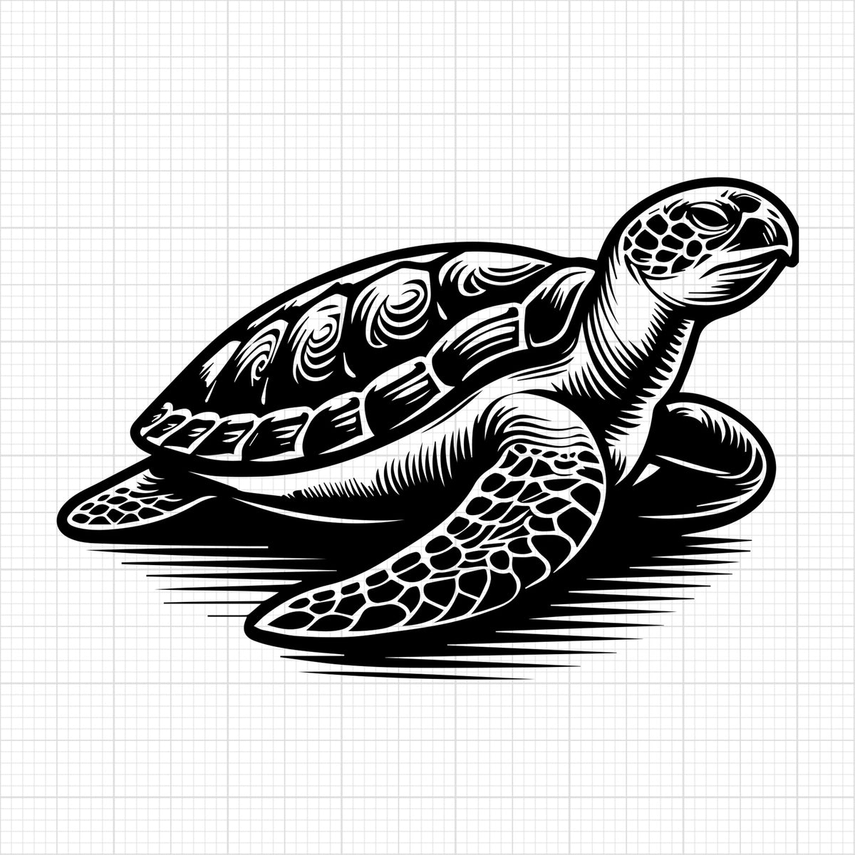 Sea Turtle 5