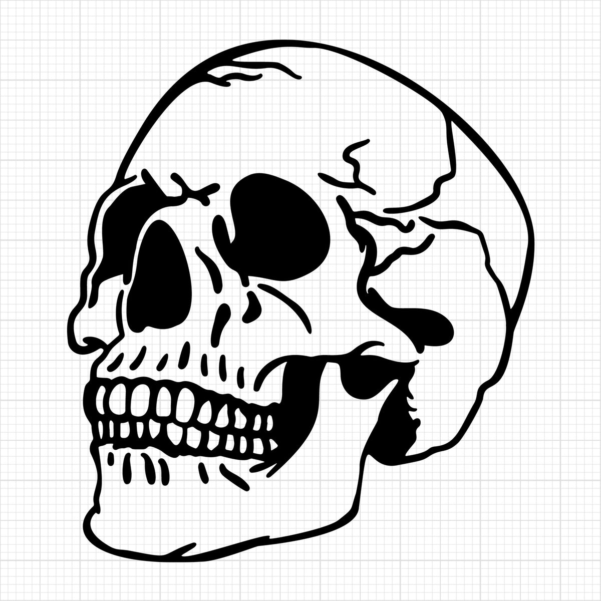 Skull 5