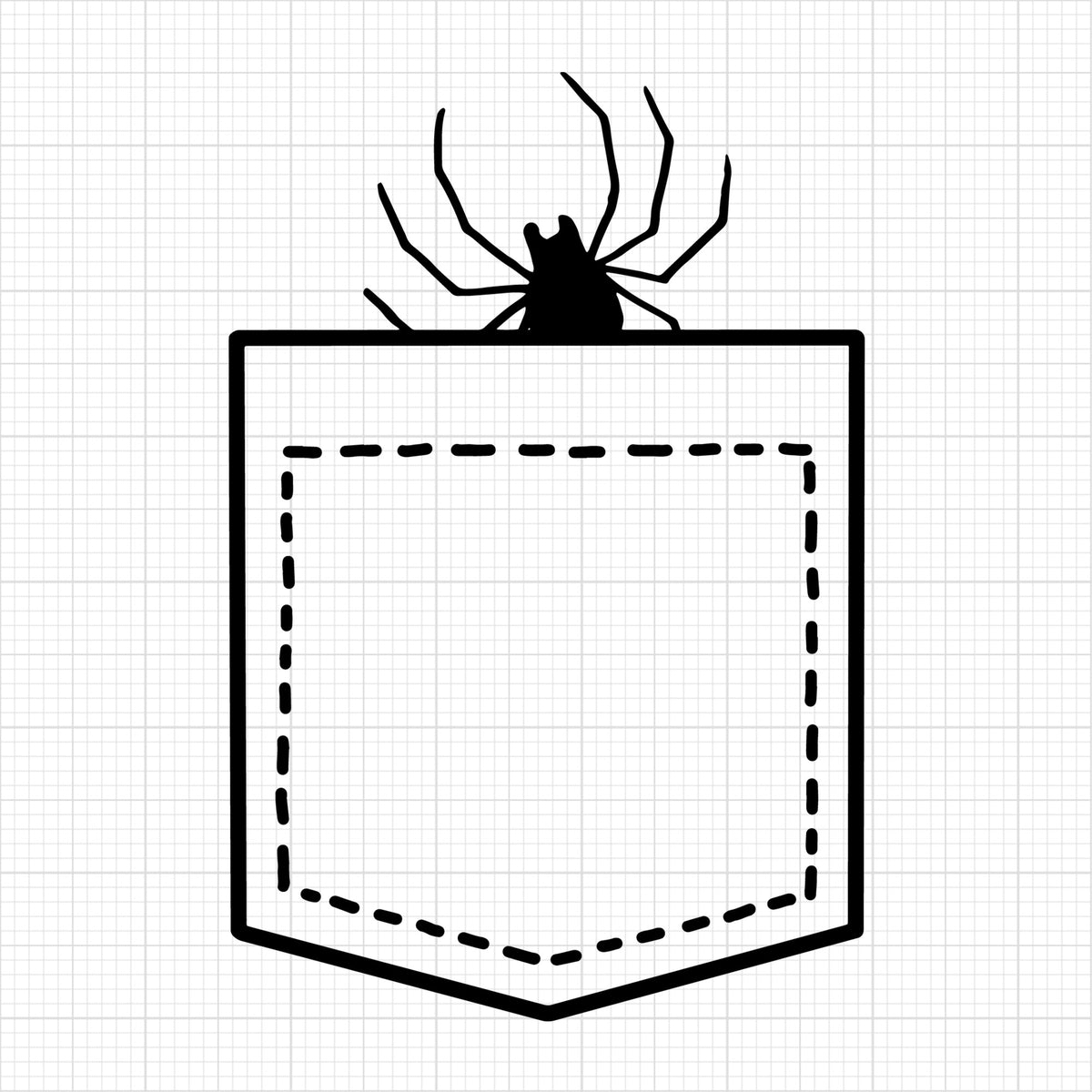 Spider in a pocket