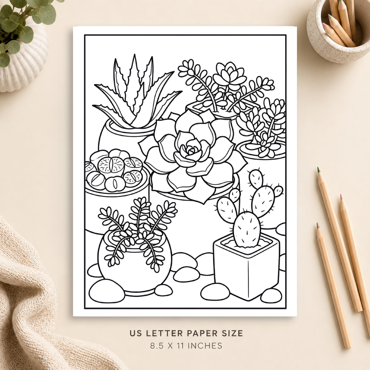 Succulent Garden Coloring Page 4