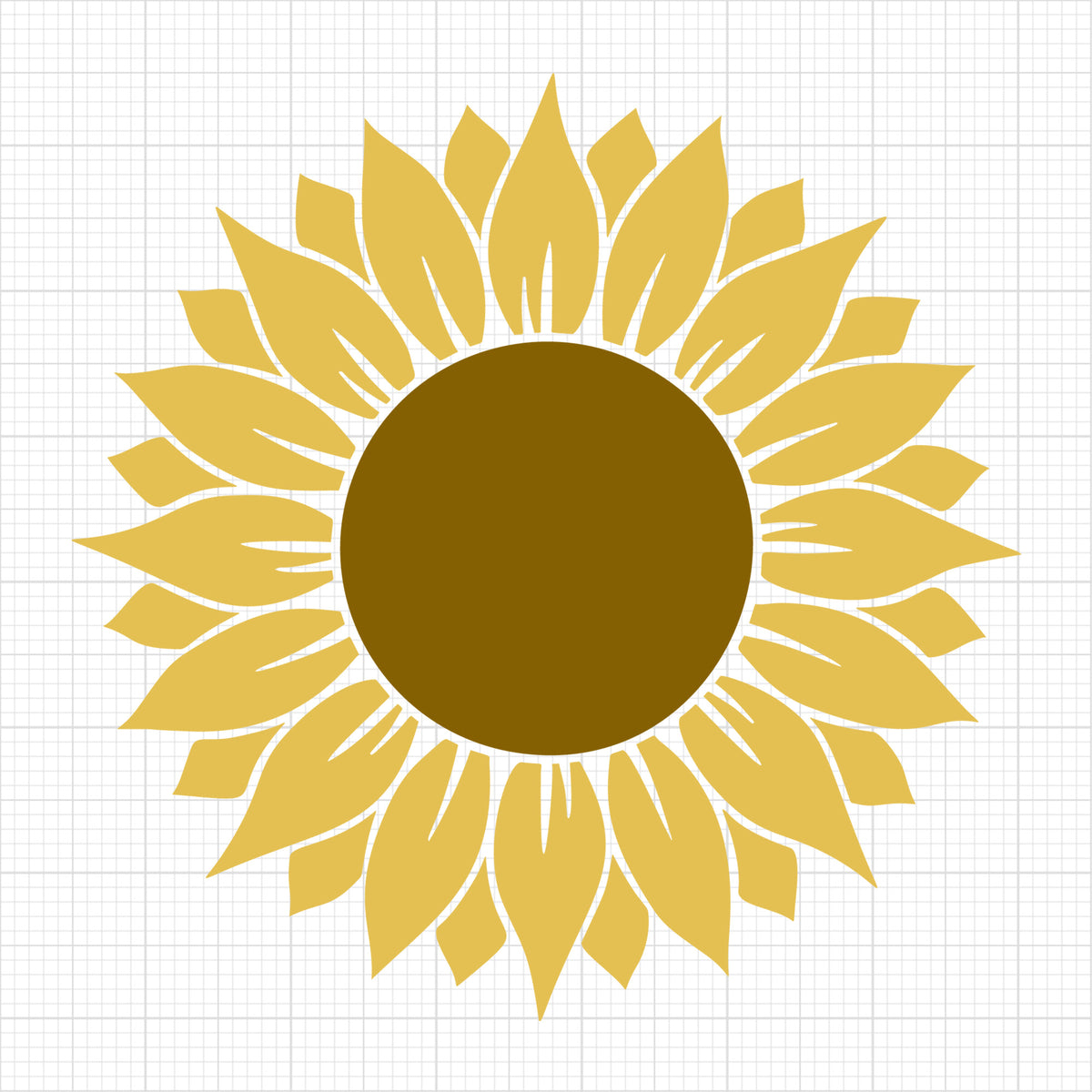 Sunflower 1
