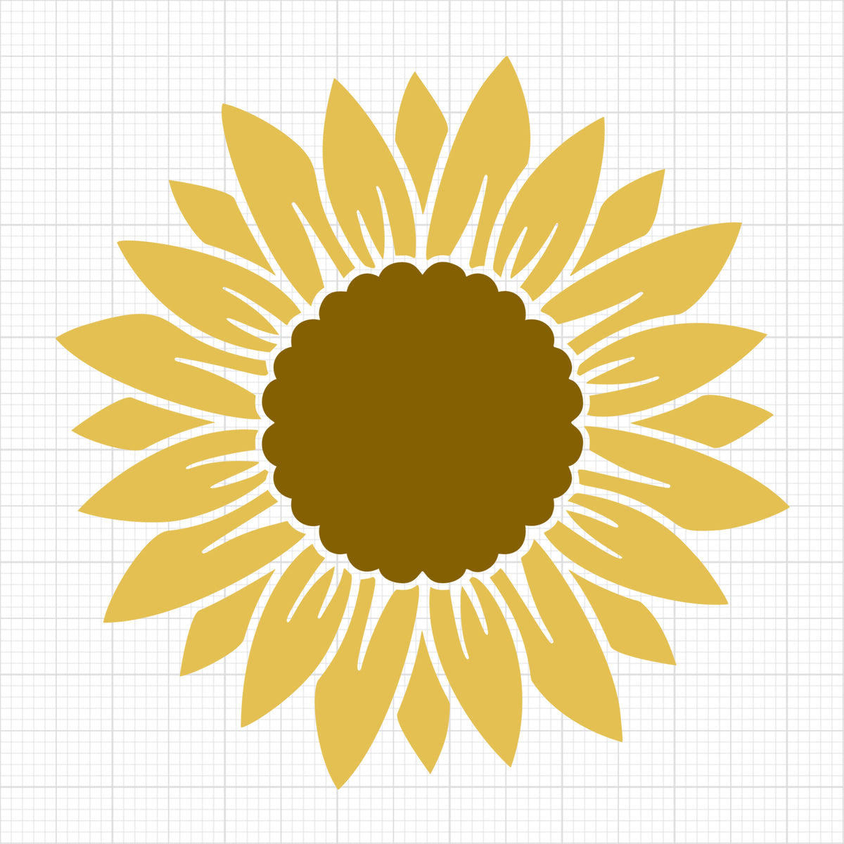 Sunflower 5