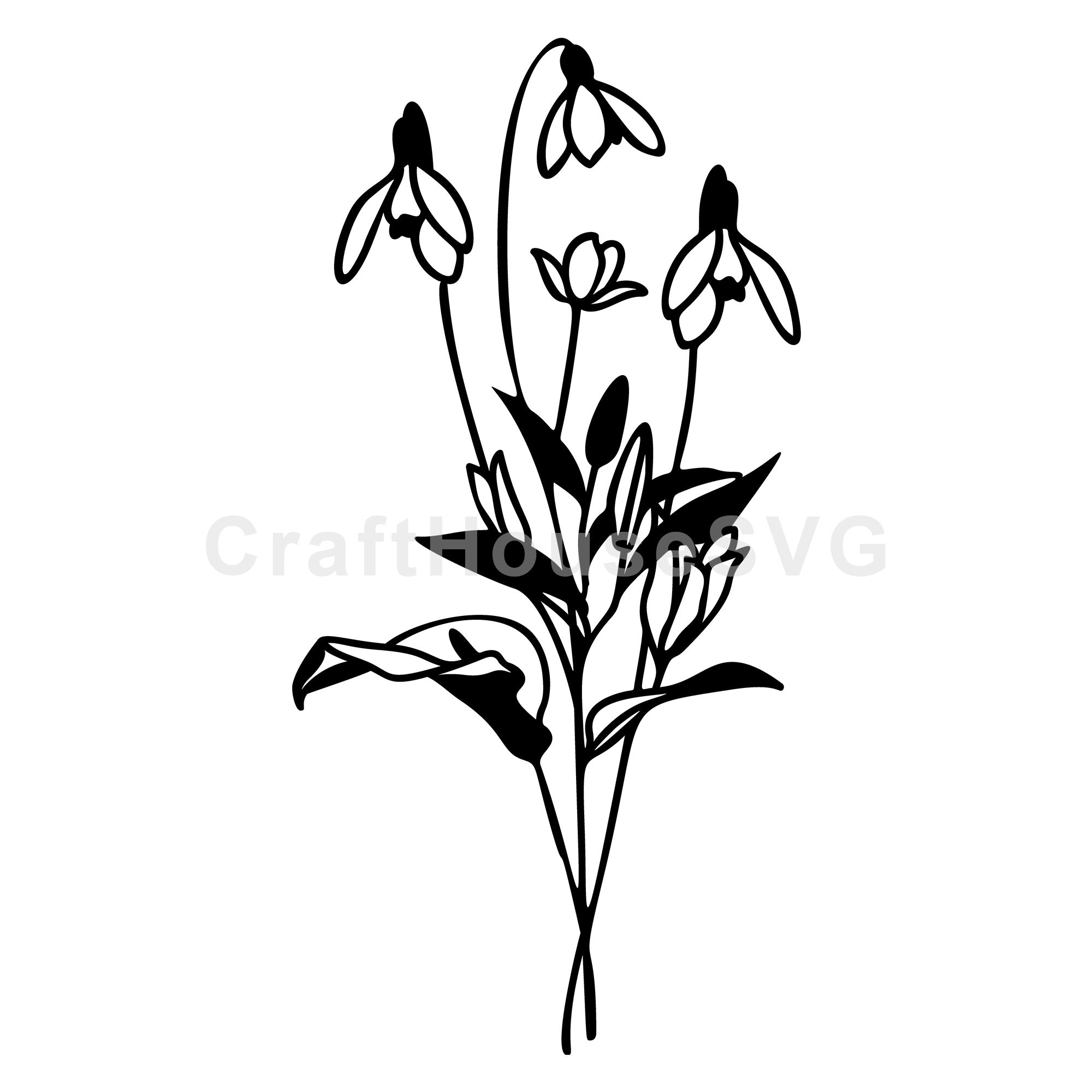 Snowdrop Cluster Wildflowers SVG