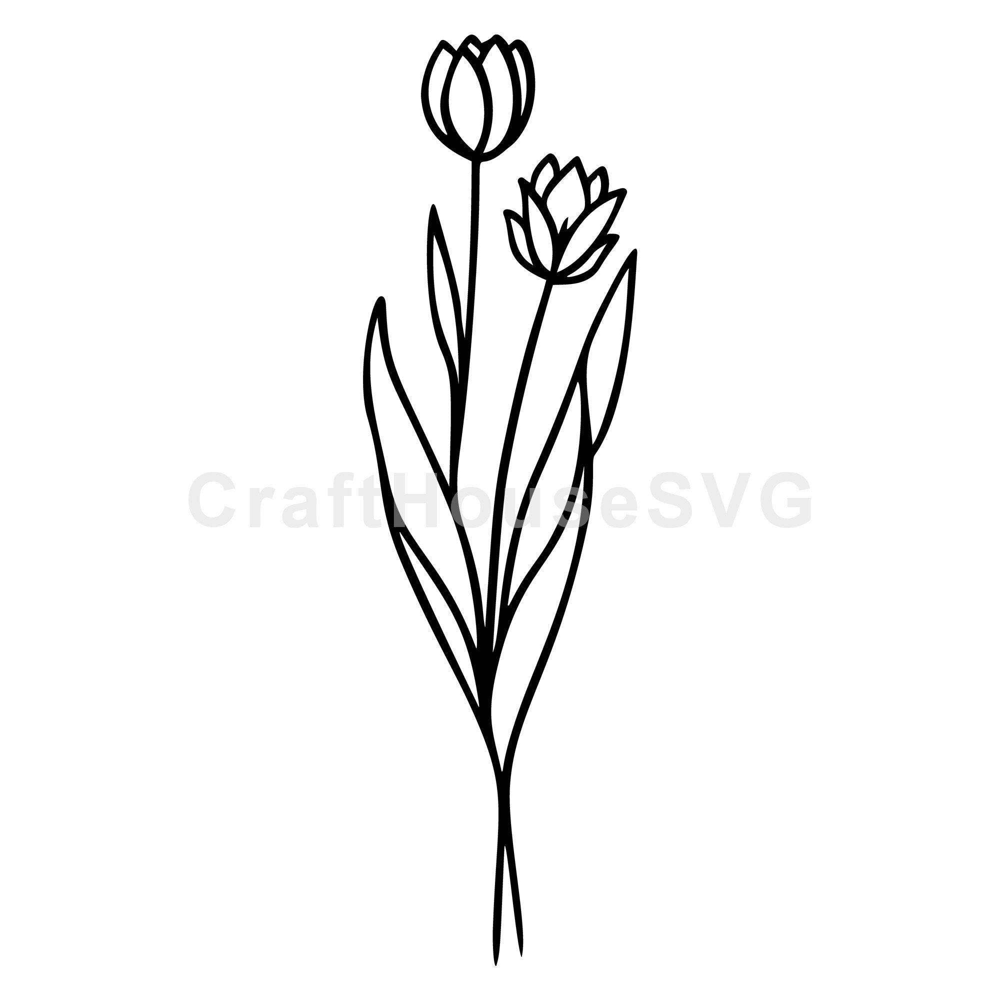 Tulip Flower Stems SVG