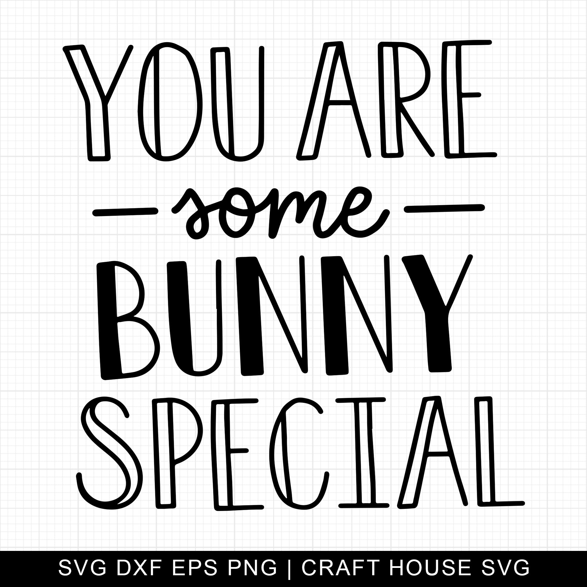 You Are Some Bunny Special SVG | M9F16
