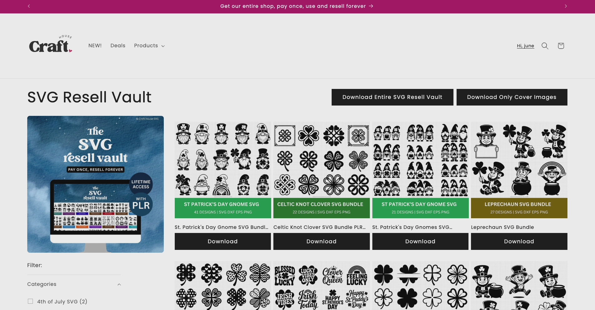 SVG Vault Lifetime Access