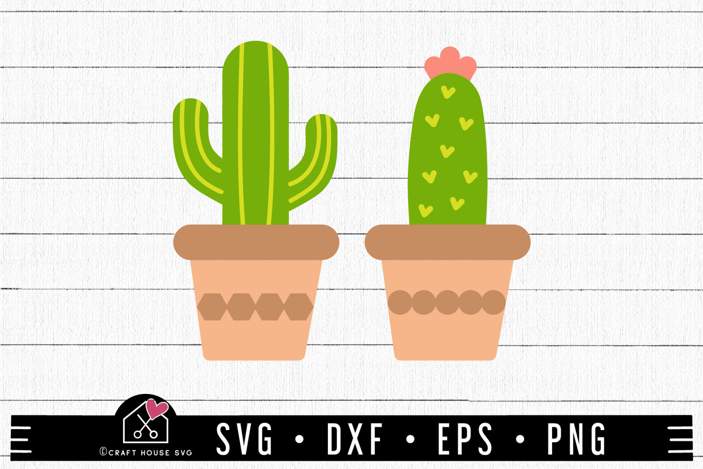 FREE Succulent SVG Cactus Cut File | FB448