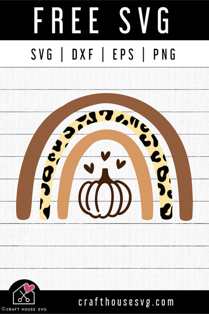 FREE Fall pumpkin leopard rainbow SVG | FB249 - Craft House SVG