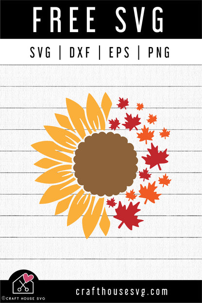 FREE Fall Sunflower SVG Sunflower maple leaves SVG | FB256