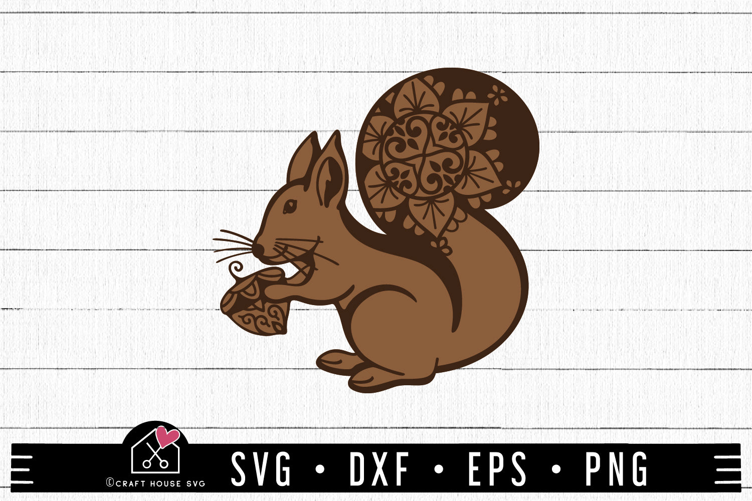 FREE Fall Squirrel Mandala SVG | FB267
