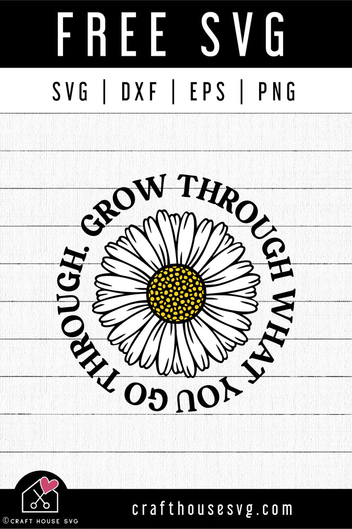 FREE Daisy Grow Through What You Go Through SVG | FB329