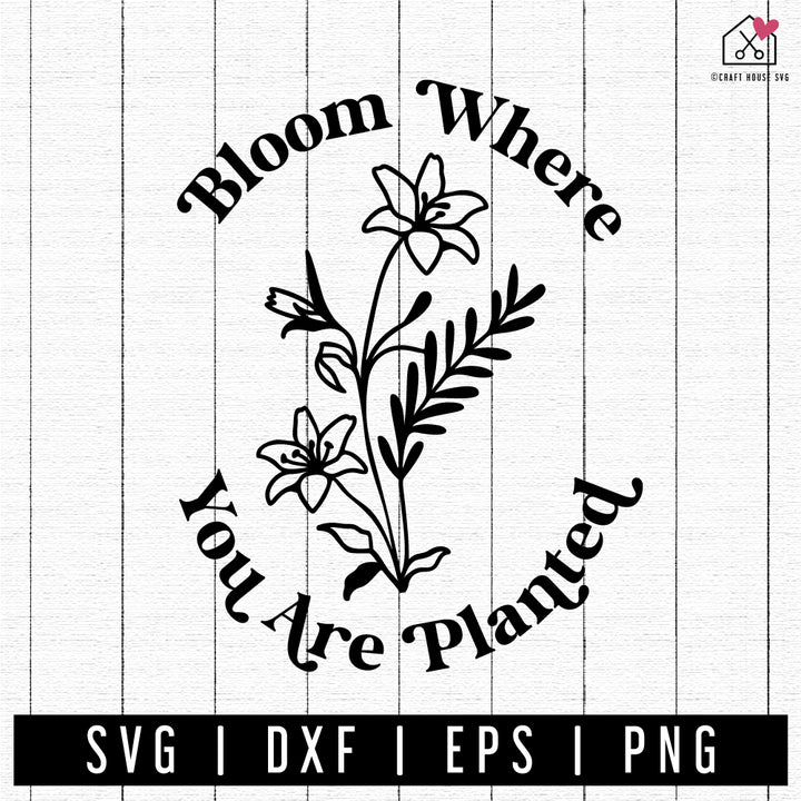 FREE Bloom Where You Are Planted SVG FB416