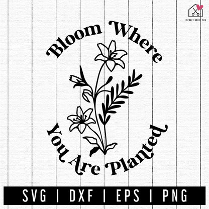 FREE Bloom Where You Are Planted SVG FB416 - Craft House SVG