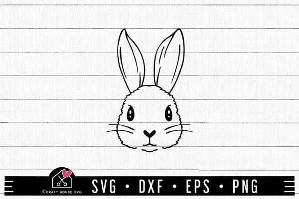 肉質画　Rabbit サインあり　箱あり rabbit-chinese-zodiac-sign-