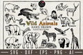 Wild Animals Illustration Pack - VB16 - Craft House SVG